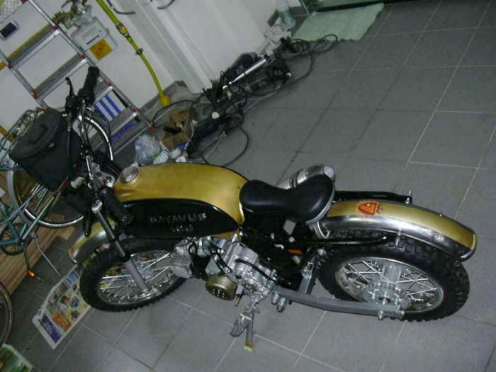 Batavus buitenbeentjes